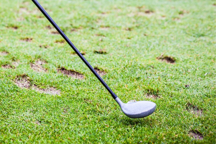Fairway Wood on Ground